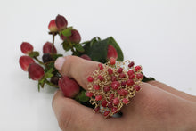 Load image into Gallery viewer, R218 Crimson Bloom
