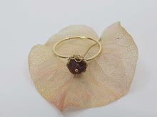 Load image into Gallery viewer, R223 Golden Blossom
